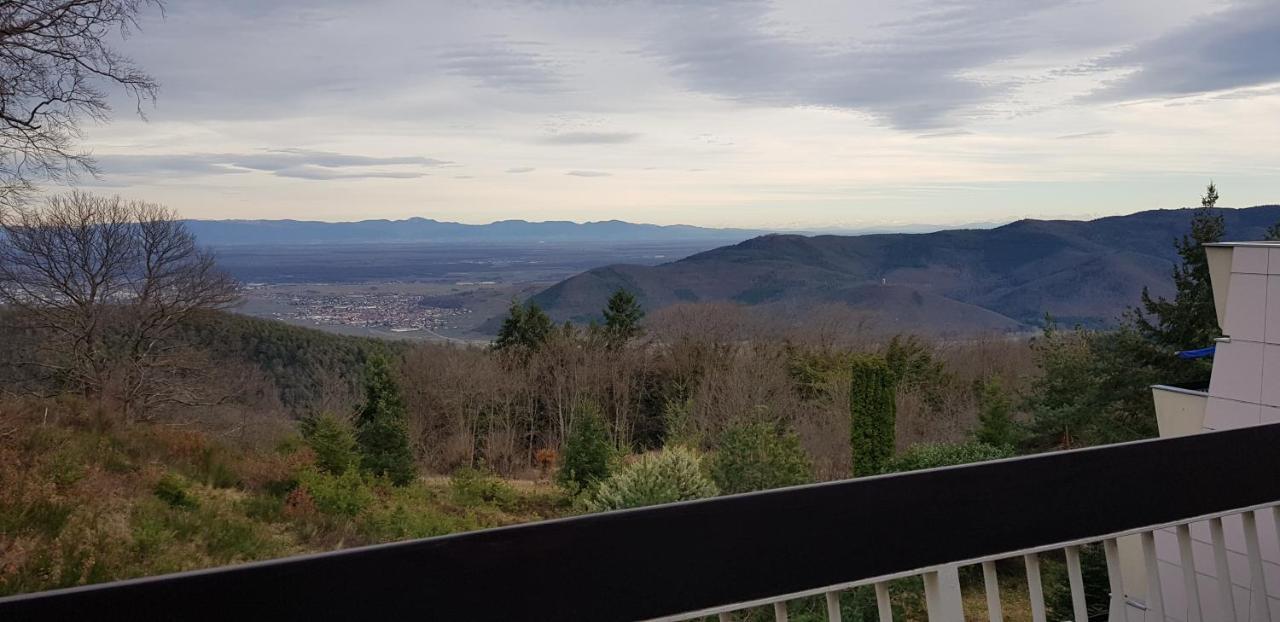 Studio Avec Sauna Au Calme A 15 Min De Colmar Trois-Épis Buitenkant foto